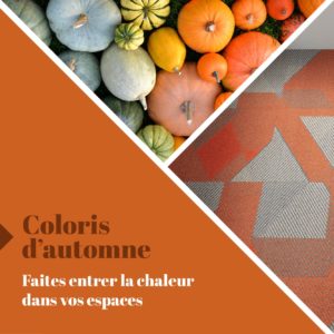 UFTM Sols Textiles Moquettes