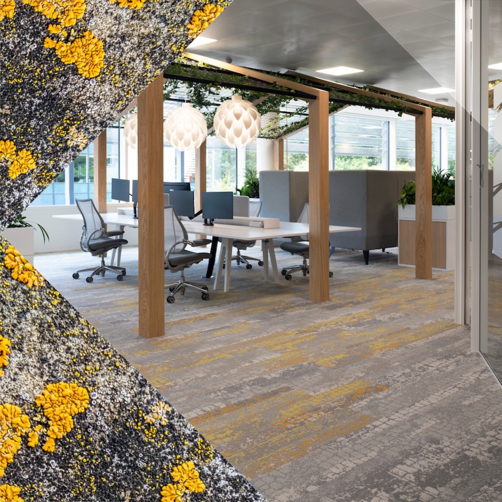 Living Systems Shaw Contract Nature Moquette Sols Textiles