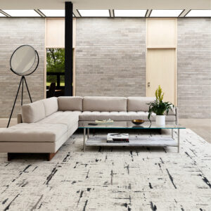 Shaw Contract Community UFTM Sols Textiles moquette